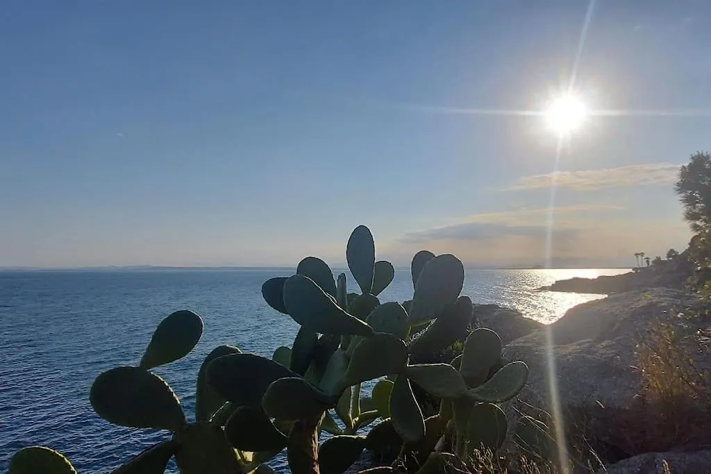 Sunsetmare Vacational Apartment Rosas
